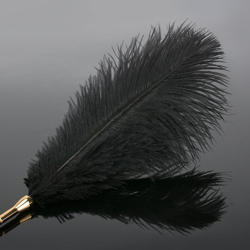 Sex toys, paraphernalia, femdom toys, adult sex toys, flirting sticks, ostrich feather tease sticks
