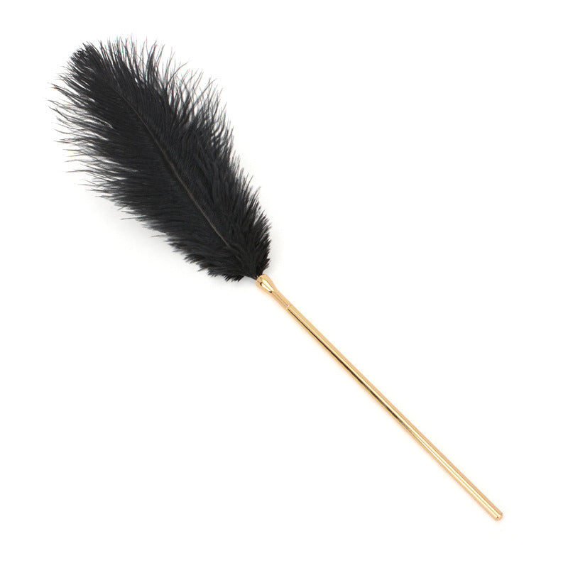 Sex toys, paraphernalia, femdom toys, adult sex toys, flirting sticks, ostrich feather tease sticks