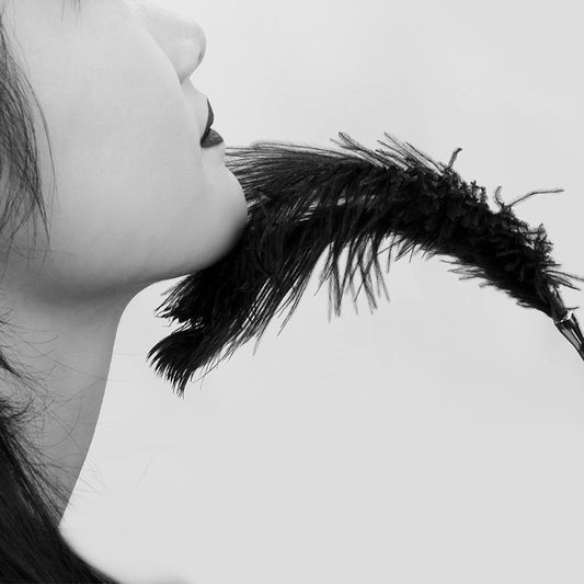 Sex toys, paraphernalia, femdom toys, adult sex toys, flirting sticks, ostrich feather tease sticks